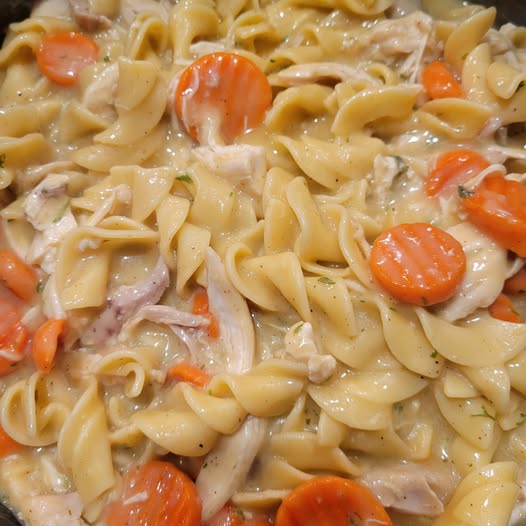 Quick One-Pot Chicken and Noodles: A Comforting and Easy Meal!