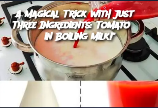 A Magical Trick with Just Three Ingredients: Tomato in Boiling Milk!"