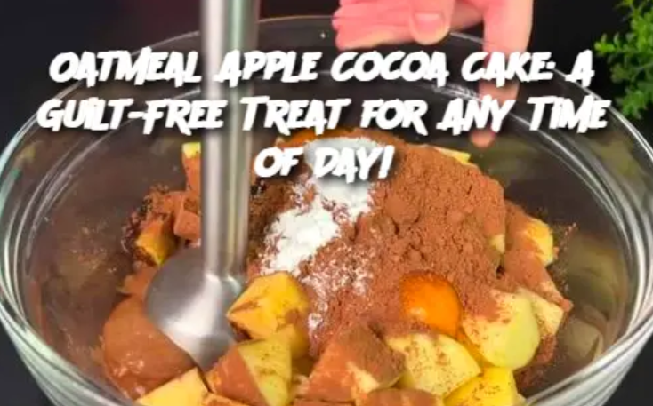 Oatmeal Apple Cocoa Cake: A Guilt-Free Treat for Any Time of Day!