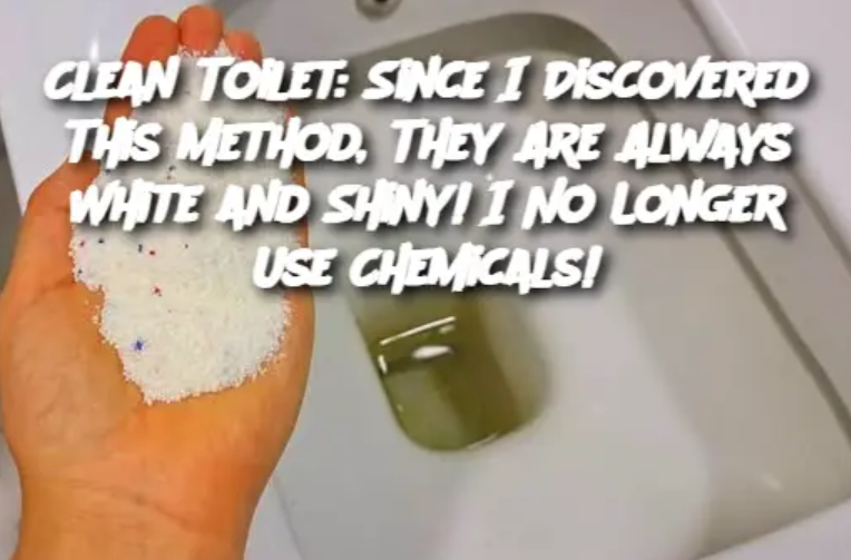 Clean Toilet: Since I Discovered This Method, They Are Always White and Shiny! I No Longer Use Chemicals!