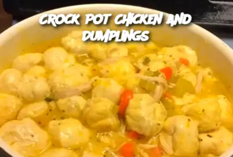 Crock Pot Chicken and Dumplings