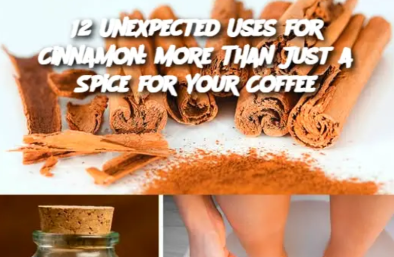 12 Unexpected Uses for Cinnamon: More Than Just a Spice for Your Coffee