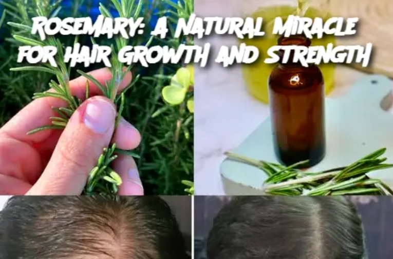 Rosemary: A Natural Miracle for Hair Growth and Strength