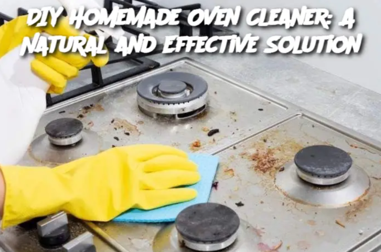 DIY Homemade Oven Cleaner: A Natural and Effective Solution