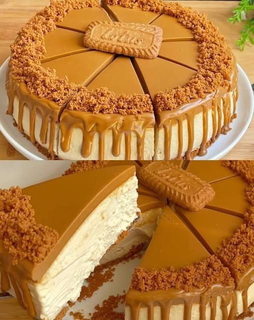 Easy No-Bake Biscoff Cheesecake