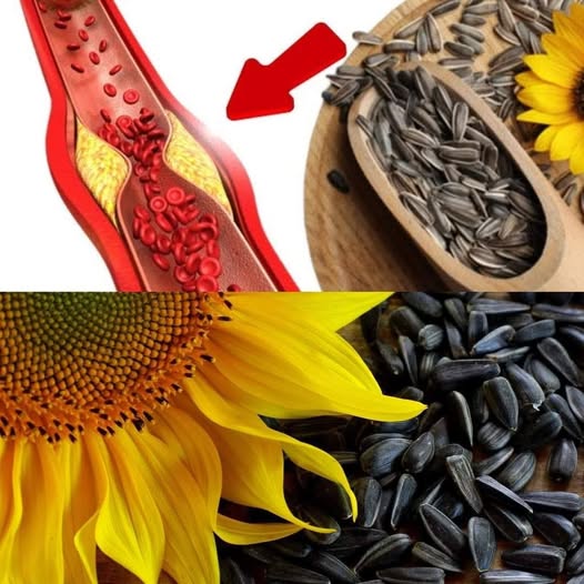 Miracle Seeds That Help Prevent Blood Clots and Heart Attacks