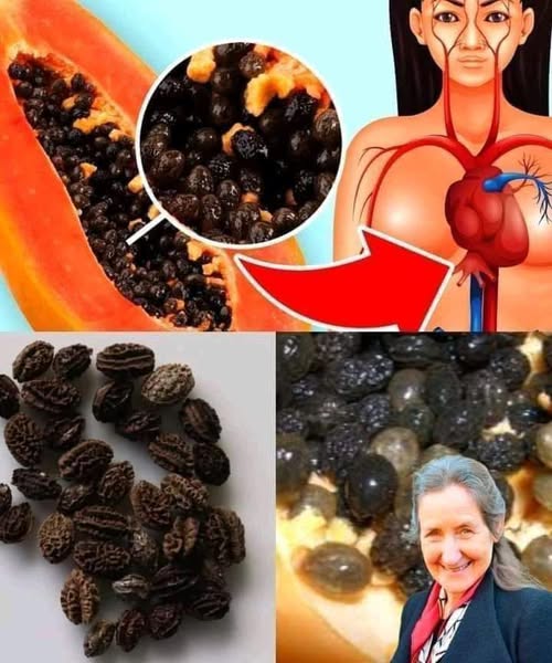 Health Benefits And Risks Of Eating Papaya Seeds You Must Know