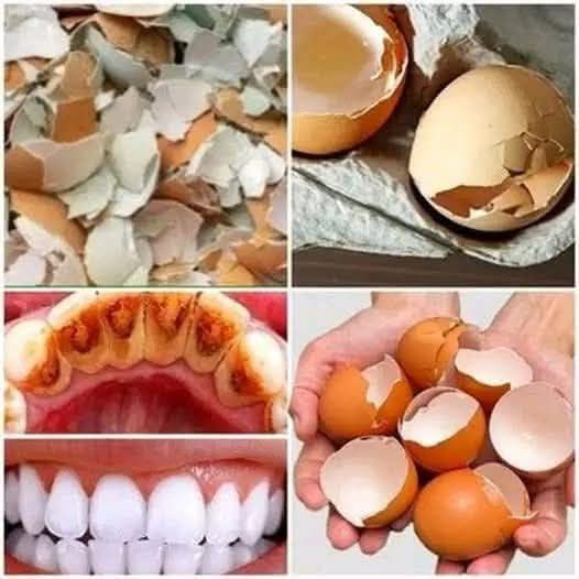 Whiten Your Teeth Naturally with Eggshell Powder – A Simple DIY Remedy!