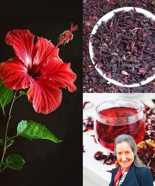 How to make Hibiscus Tea from Dried Flowers | Healthy Drinks to Lose Weight|