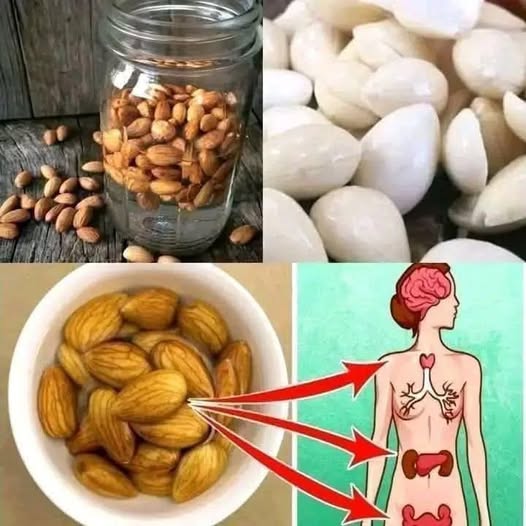 What REALLY Happens When You Eat Soaked Almonds Every Morning