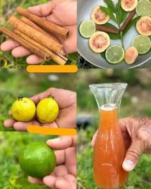 Drink tea with guava leaves and cinnamon - You will be surprised by its benefits!