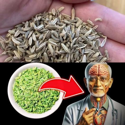 A PINCH of FENNEL SEEDS Can IGNITE an IRREVERSIBLE Transformation in Your Body!