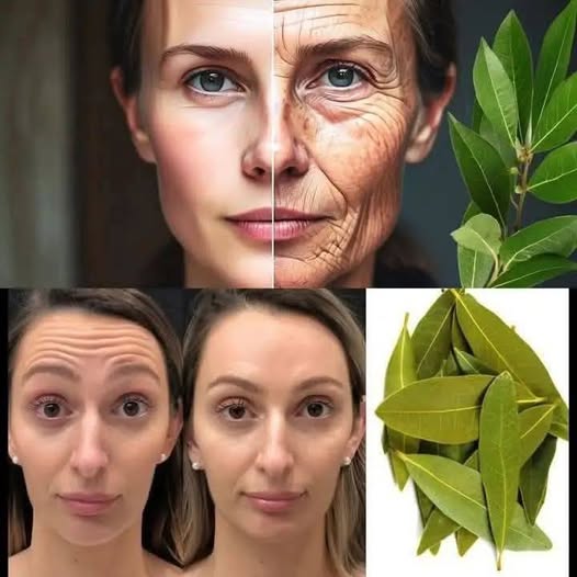 DIY Bay Leaf Toner for Glowing and Rejuvenated Skin