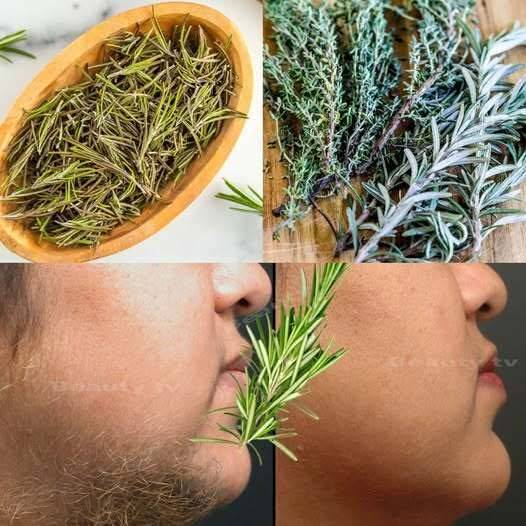 Stop Shaving! Here’s How to Permanently Get Rid of Facial, Body, and Pubic Hair with Rosemary