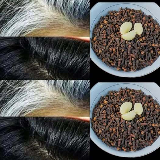 Only 2 ingredients. Even at the age of 65, white hair turns black