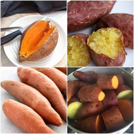 What Happens When You Eat Sweet Potatoes Every Day