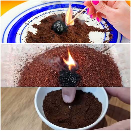 How to Burn Coffee Grounds to Get Rid of Mosquitoes - Mosquitoes Natural Repellent - Home Remedies