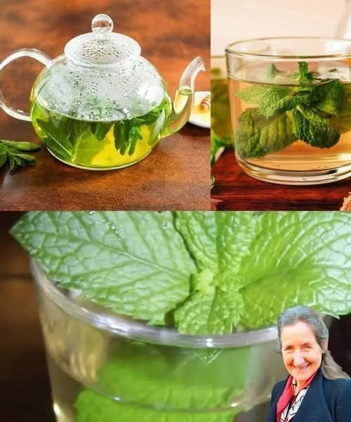 Cook mint, drink liquid and get rid of these problems