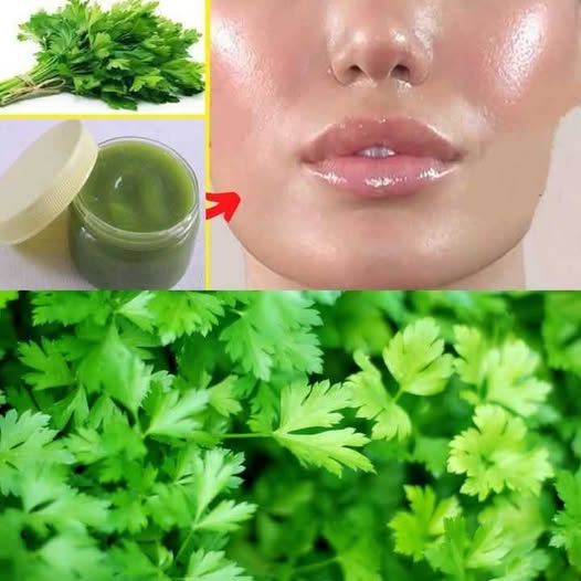 Parsley: The Anti-Aging Secret That Can Make You Look 20 Years Younger