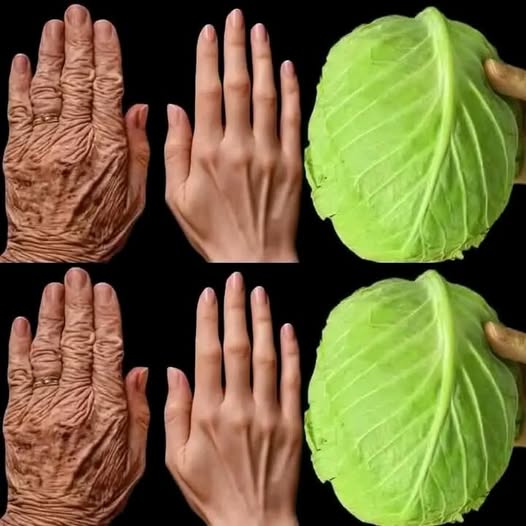 Japanese Secret: Cabbage Leaf Remedy for Joint Pain Relief