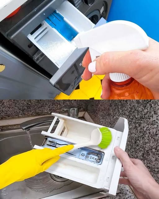 The Genius Trick to Clean the Washing Machine Drawer: Get Rid of Mold and Make It Look Like New!