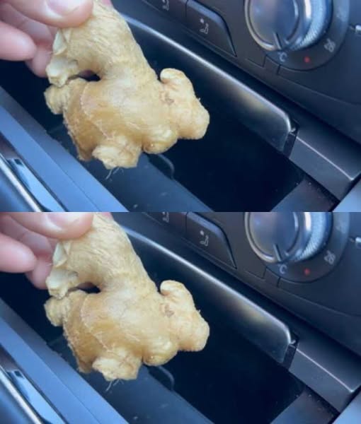 The Life-Saving Secret of Keeping Ginger in Your Car