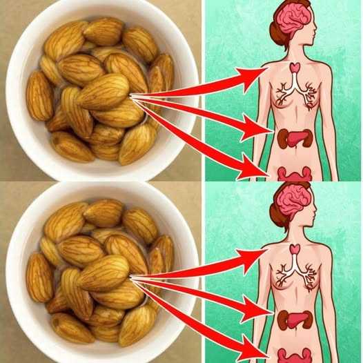 What Really Happens When You Eat Soaked Almonds Every Morning