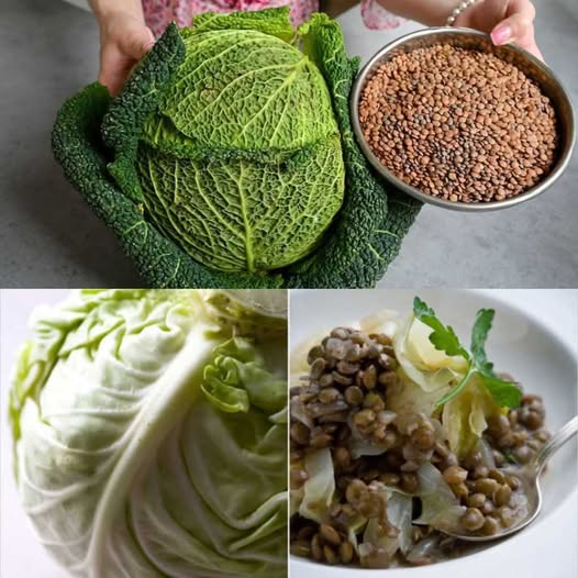 Lentils with Cabbage – A Hearty, Nutritious Meal Better Than Meat!