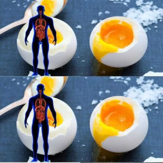 7 benefits of eating 3 eggs a day!