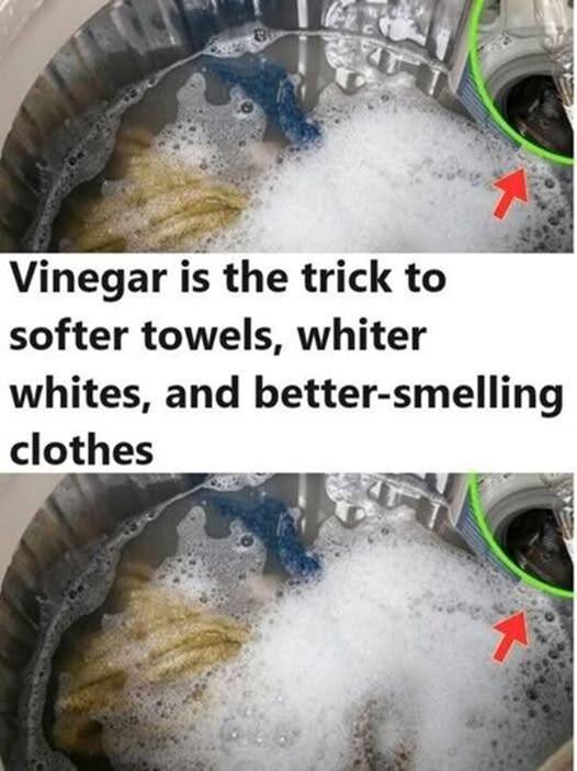 My Clothes Were Never Pure White and Fresh-Smelling After Washing – Then My Neighbor Told Me This Trick!