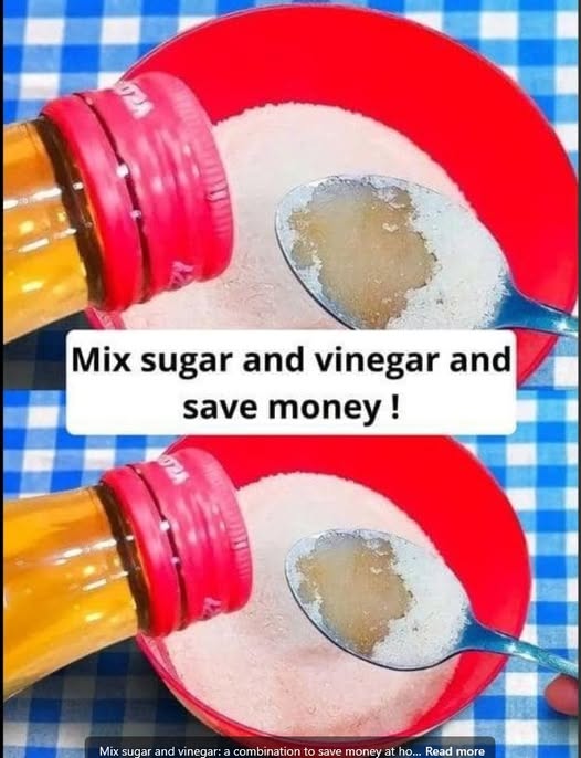 Sweet & Sour Savings: How Mixing Sugar and Vinegar Can Cut Household Costs